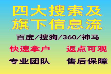 某行业sem代运营推广公司成功案例分析